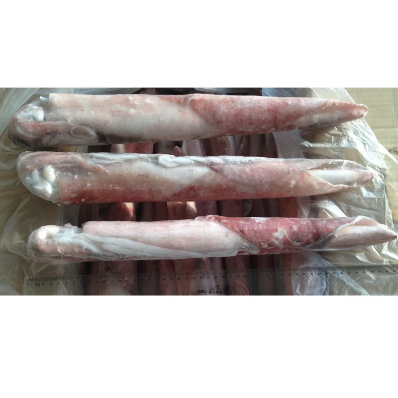 Круглый кальмар IQF