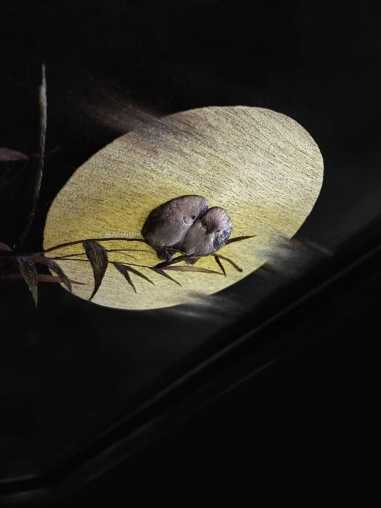 Уникальная Техника картины животные тема свидание под лунным светом две стороны ручная вышивка искусства