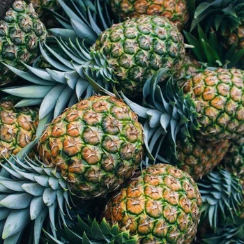 
Natural Fresh Juicy Pineapple / High Quality Low Price 