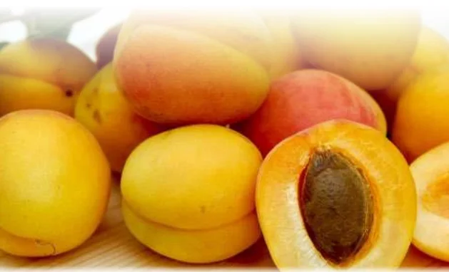 
Fresh Fruits and Vegetables 