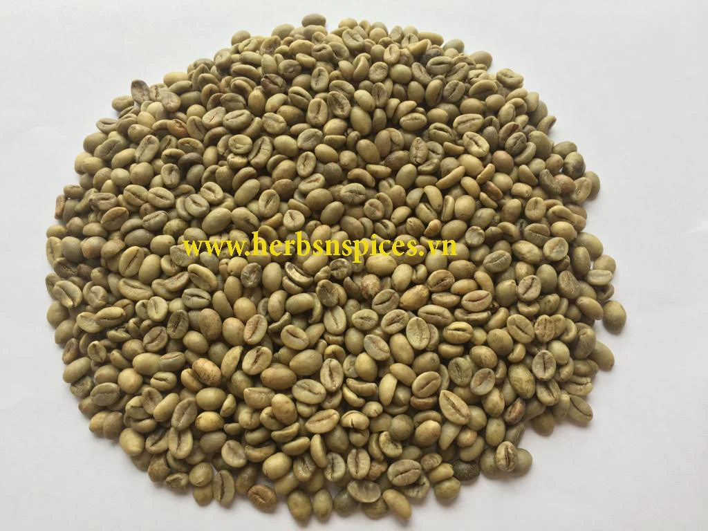  Оптовая продажа вьетнамский КОФЕ Robusta S16/ 18 высокого качества