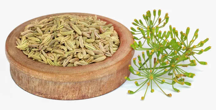 Wholesale best quality fennel seed from India