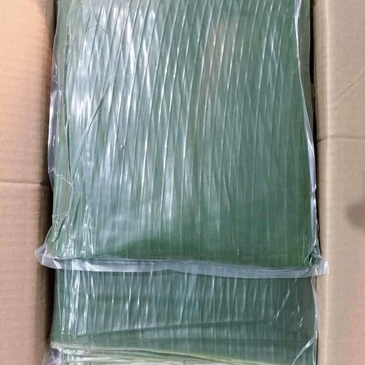Vietnam Frozen Banana Leaf Fresh Banana Leaves With High Quality +84947900124