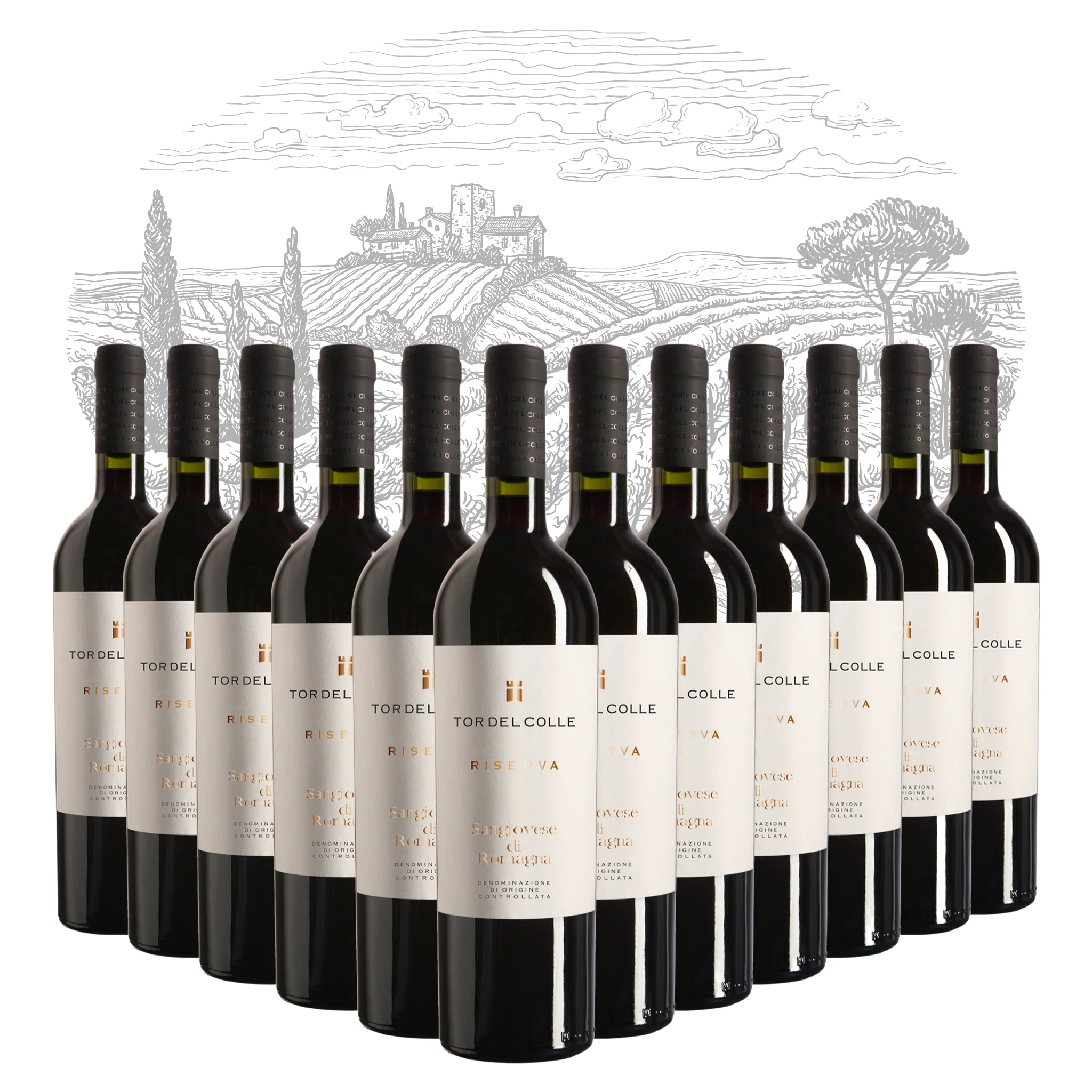 Premium Italian Red Wine - Sangiovese di Romagna DOC RISERVA - bottles 750 ml alcohol 13% for export