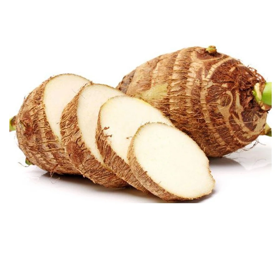 Wholesale Newest Crop 2021 Organic Quality Fresh Taro for exporting and importing