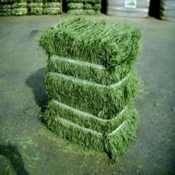 Agriculture Grade Top Quality Wholesale Alfalfa Hay Animal Feed at Bulk Price