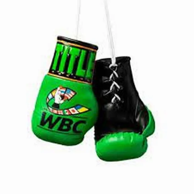 New colors with Customized Logo Print Mini Boxing Pairs Keychain  OR Car mirror hang Made in PU Leather