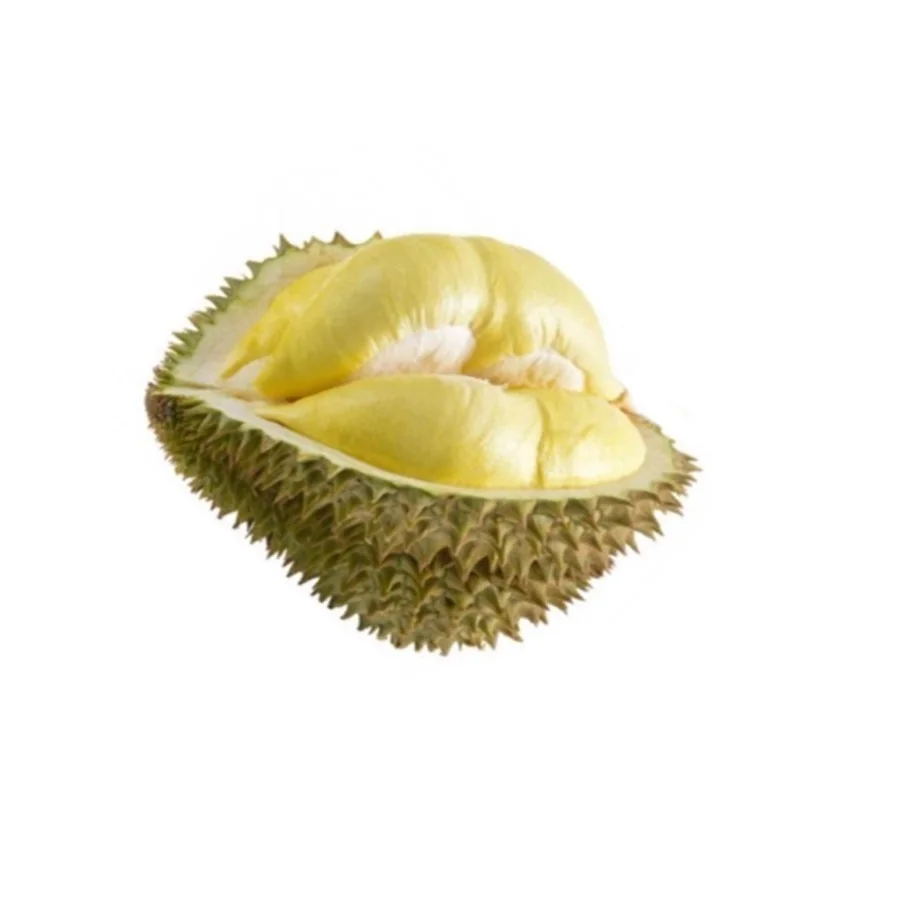 30 to 36 days Shell Life Common Cultuvation Type Durian fresh durian from Thailand export from Thailand