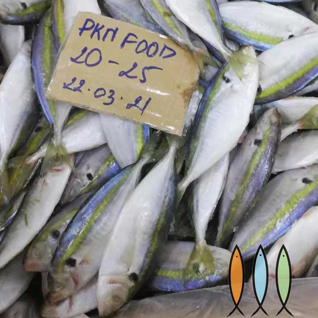Frozen Yellow stripe Scad  - Selaroides leptolepis  From Viet Nam fresh fish , affordable price, hight quality