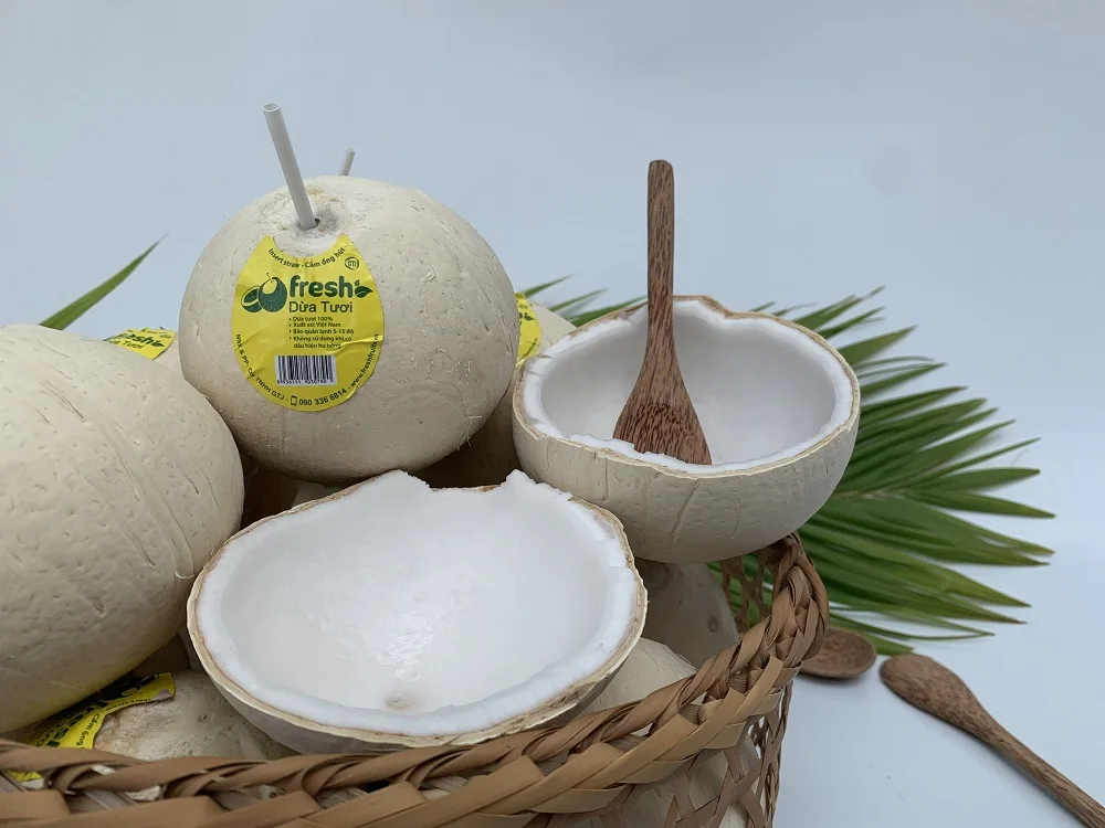Vietnam Favourite Beverage Light Yellowish Young Coconut Organic Natural Fresh Convenient Coconut