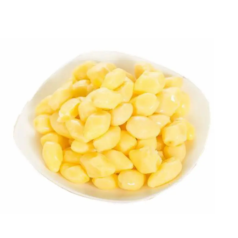 Premium fresh and dried Ginkgo Nuts Roasted wholesale Ginko Nuts for Sale best price