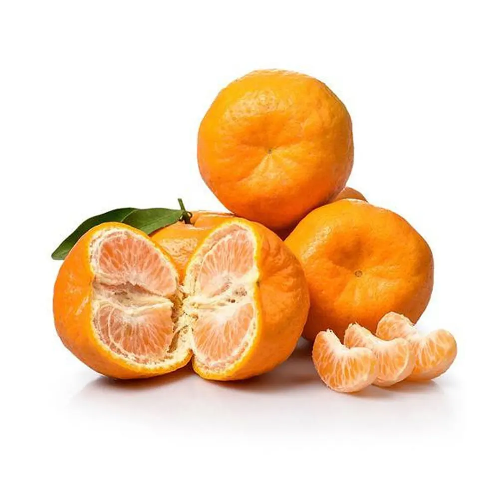 100% Pure Natural Fresh Mandarin Orange / Pakistan Made Hot Sale Best Fresh Mandarin Orange At Very Low Price