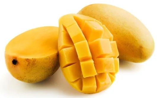 Fresh Mango High Quality Vietnam Fresh Fruit Mango Cheap Price