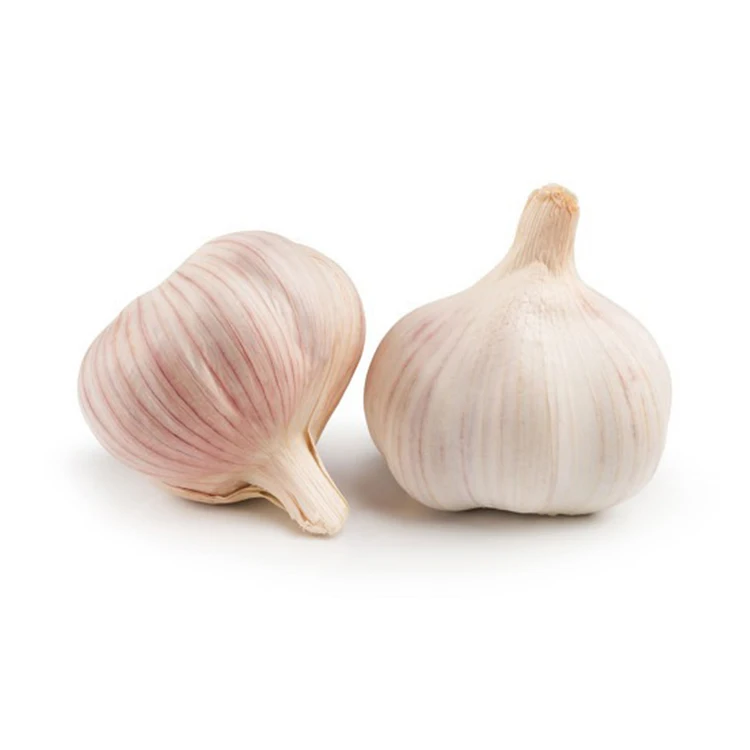 
Fresh White Normal White Garlic in 20KG Mesh Bags For Sale 