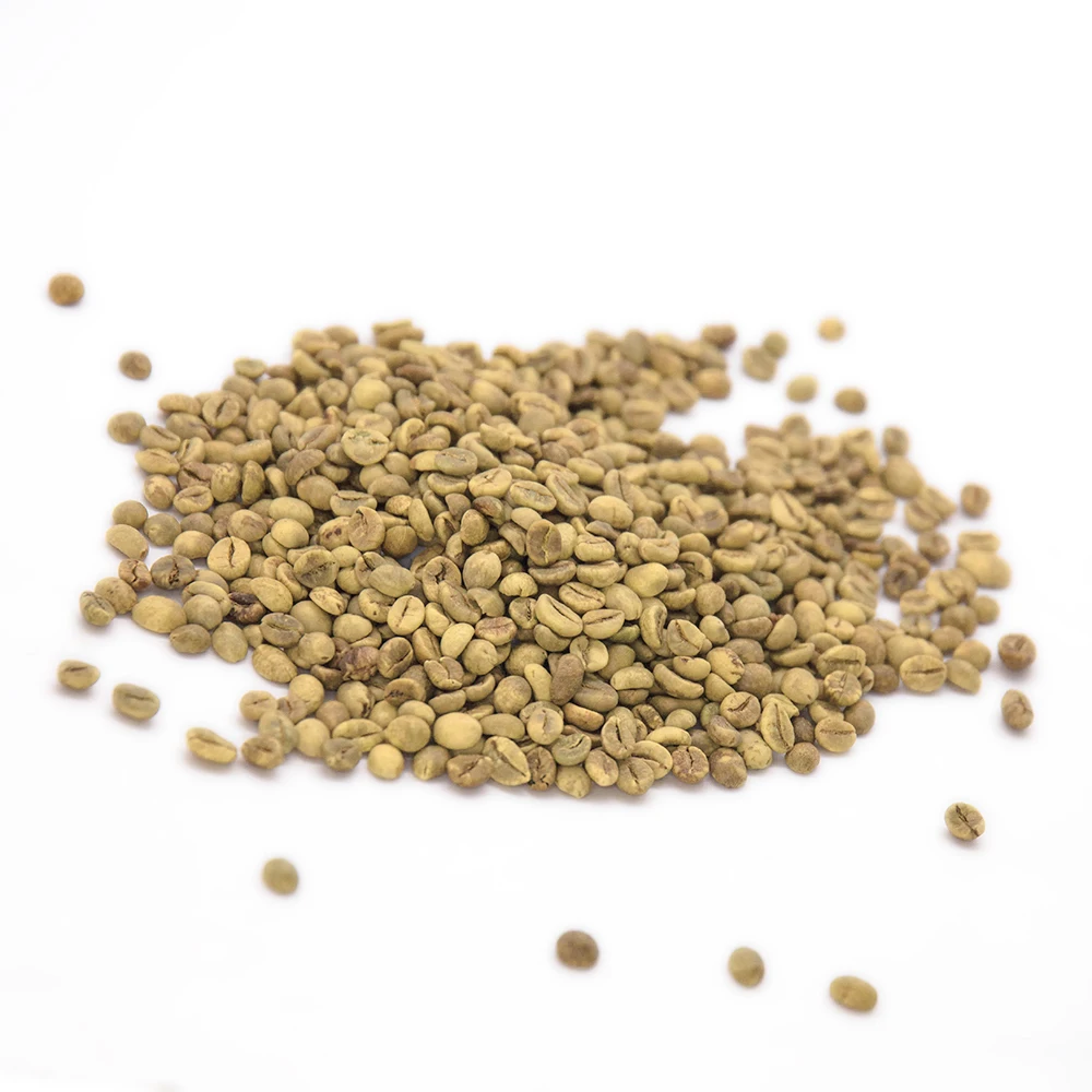 HIGH QUALITY ROASTED COFFEE BEANS ARABIA ROBUSTA