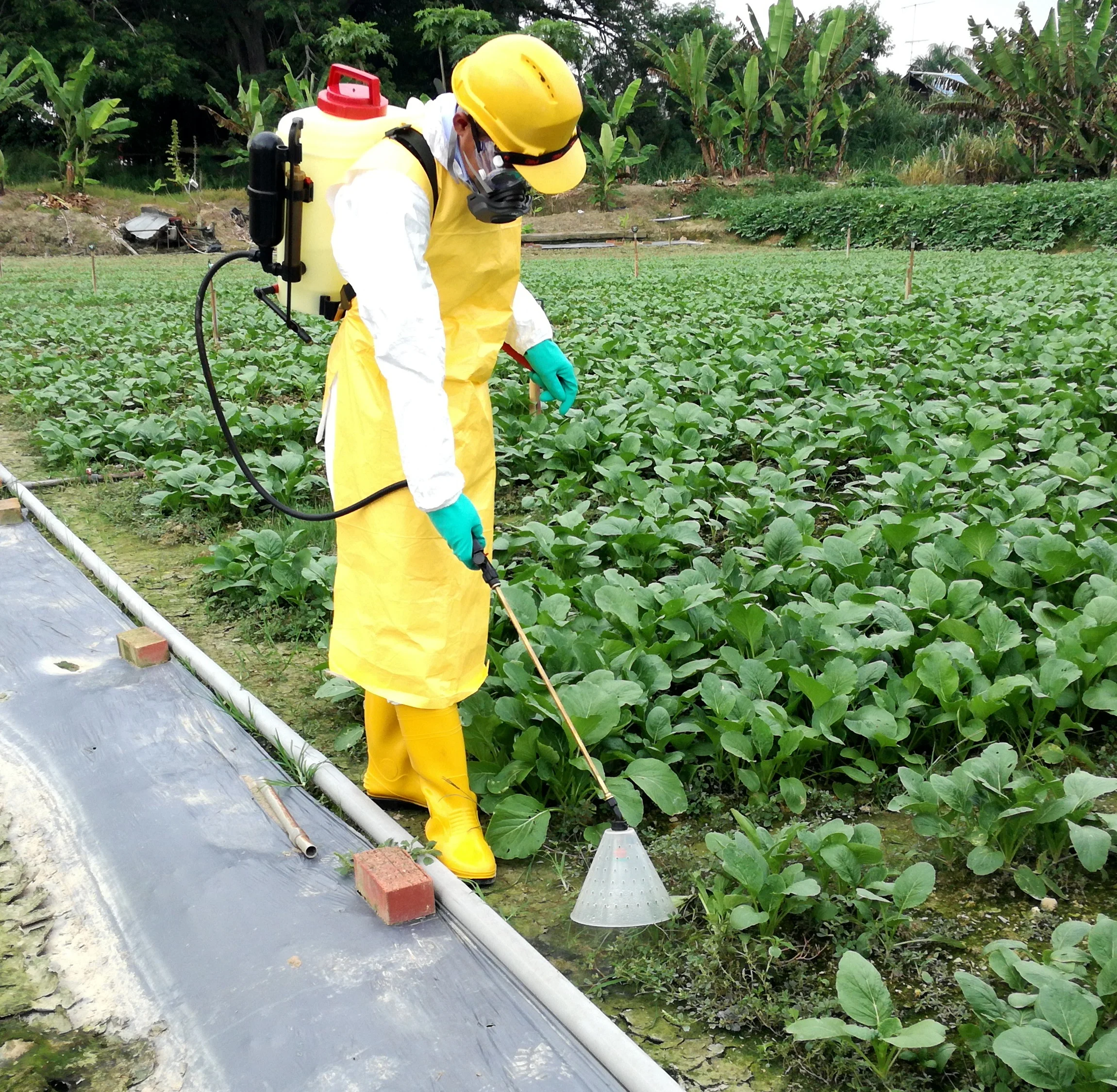 Cross Mark Spray Wand and lance for Knapsack Sprayer or Pressure Sprayer in Brass Material (18 - 96 Inch)