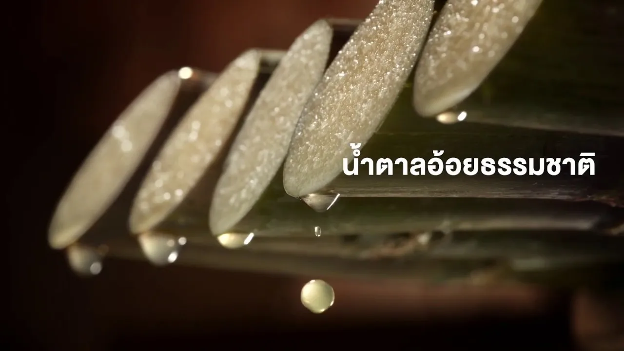 Mitr Phol Pure Refined Sugar Ready to Serve 8 gram Best Seller of Thailand