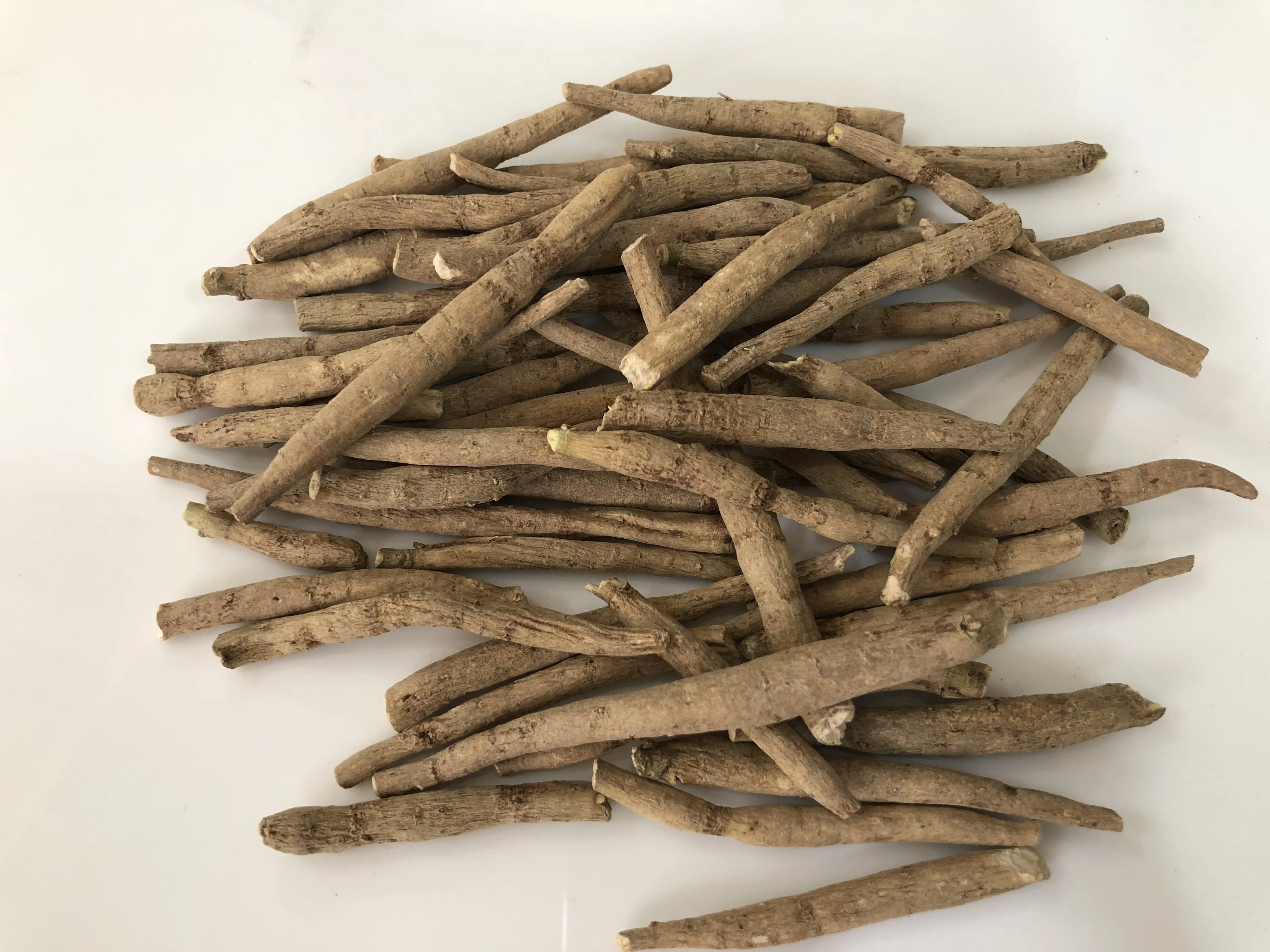 Индийское происхождение Ashwagandha - Withania Somnifera-зимний Вишневый повышающий иммунитет индийский женьшень