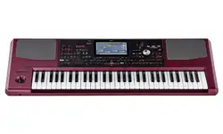 2021 Original Korg pa 1000 61 keys Professional Arranger
