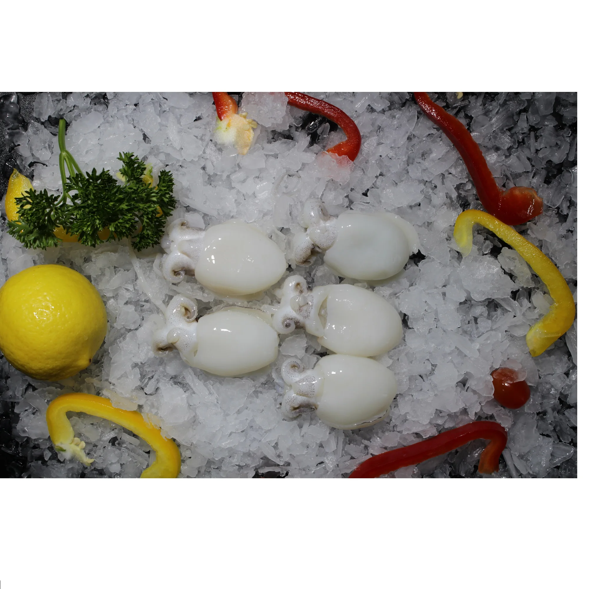 
Fresh Whole Piece Frozen Shelf Life 12 Months In Bag And Box Packaging Cuttlefish 