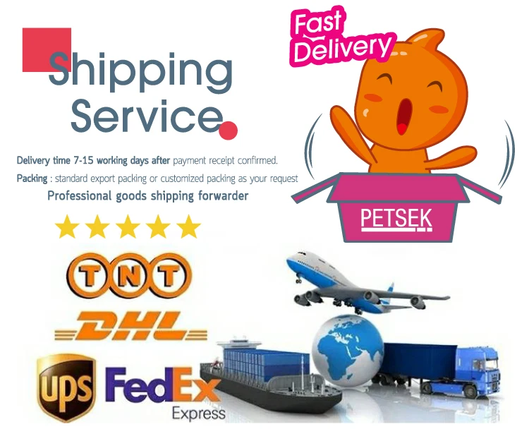 640813_Petsek_Bottom