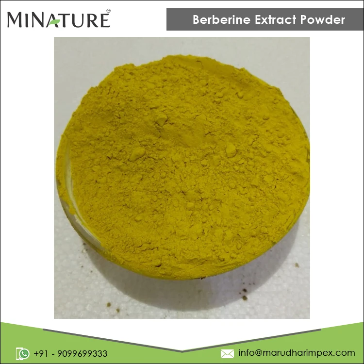 Leading Manufacturer of Best Quality 100% Pure Private Label Berberine Extract Powder at Wholesale Price