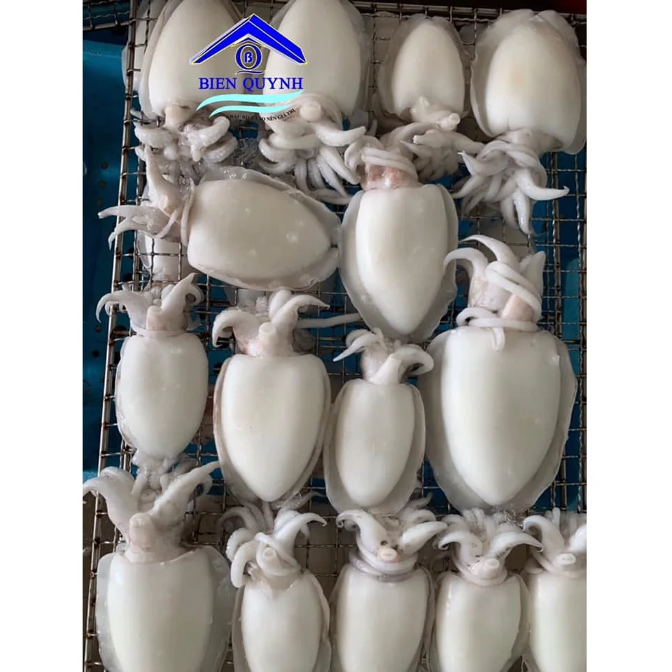 Wholesale Fresh Natural Frozen Seafood Food Nutritious Organic Big and White Cuttlefish From Private Label In Vietnam