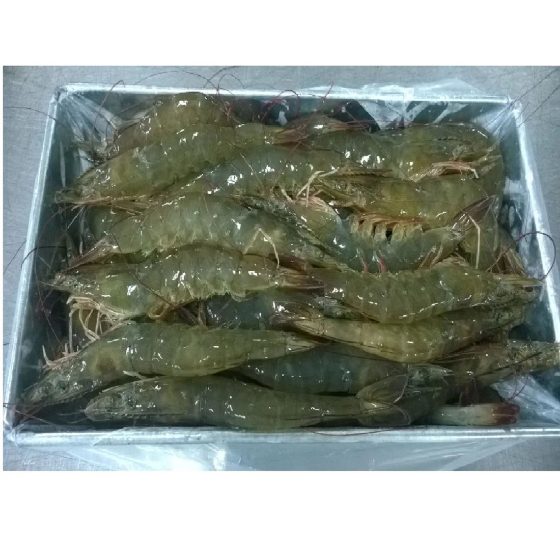 Top Selling Cheap Price Frozen Natural Hoso Vannamei Shrimp With ISO Certification