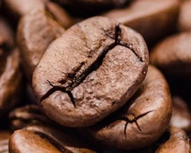 Wholesale Robusta Coffee Bean High quality Pure Roast Coffee Beans Importers Best Price Made From Vietnam