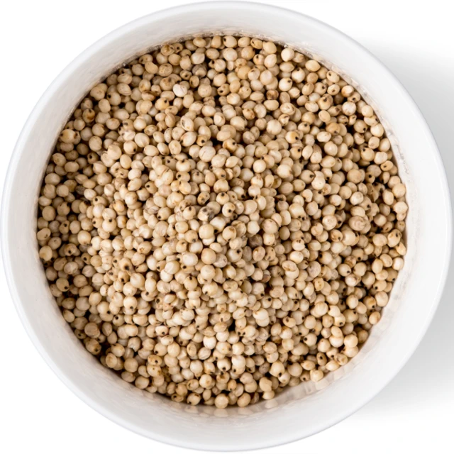 Hot Selling Sunflower Seeds Good Price