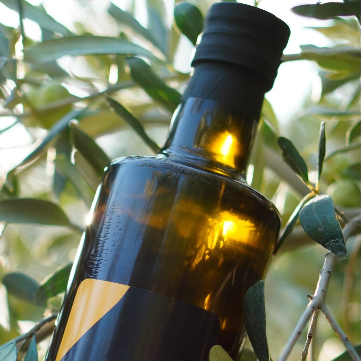 Extra Virgin Turkish Olive Oil 500 ml Maraska Glass Fruit Oil 100% Purity Max 0 8 Max COMMON Cultivation