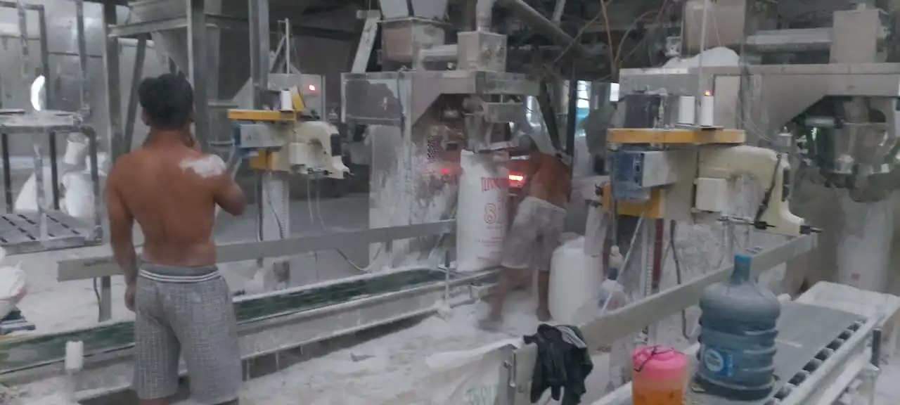 Крахмал или мука из Индонезии