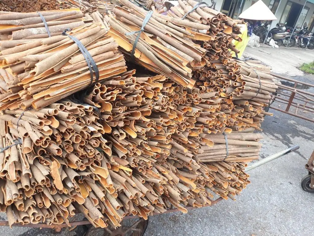 Разделение корицы/Разделение кассии с высоким содержанием масла во Вьетнаме-Doris Agrikim :+ 84 352542206