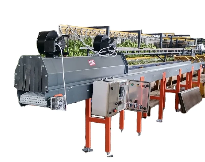 FOODS DRIYING CONVEYORS