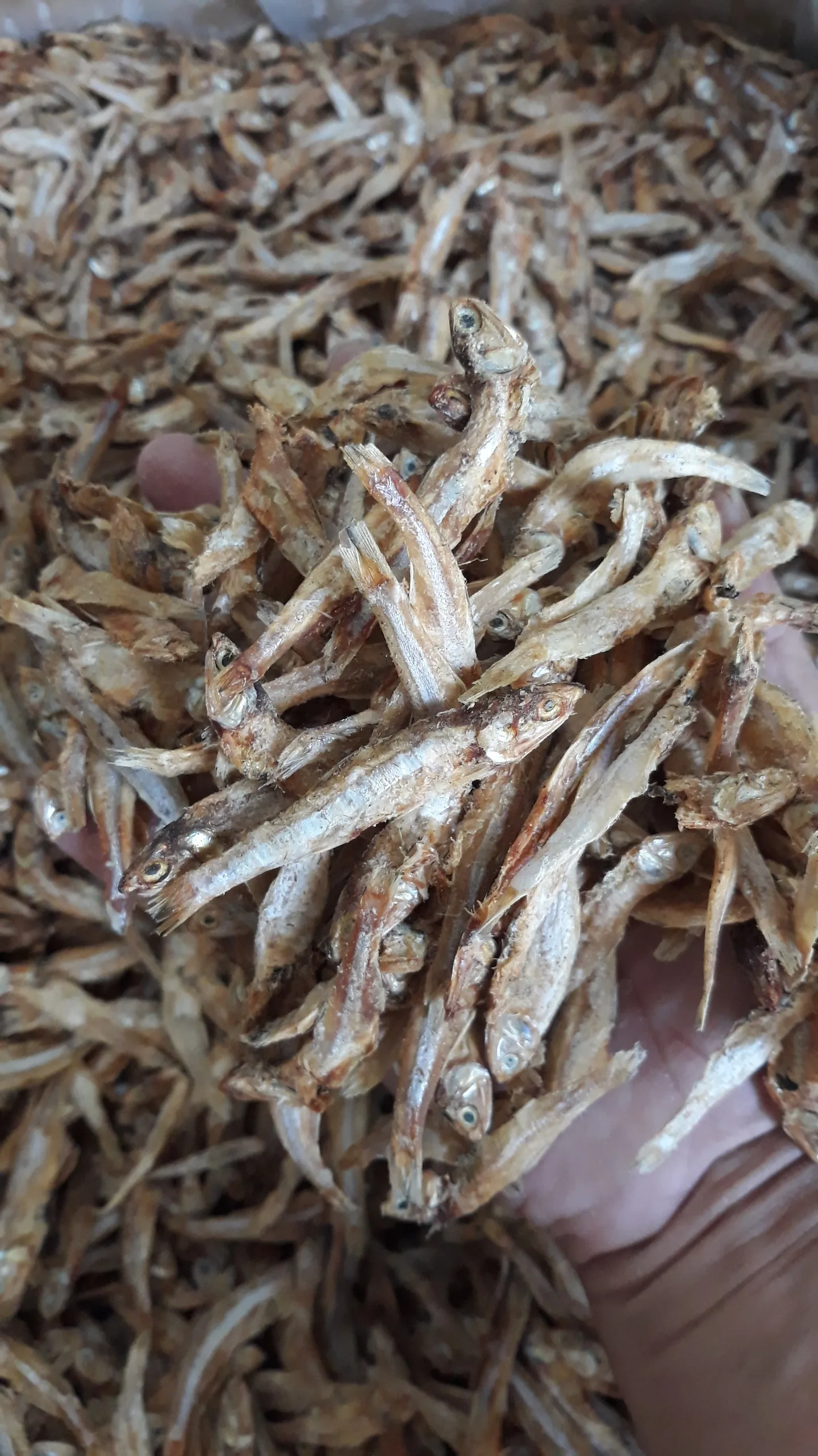 Сушеный СПАТ/сушеный на солнце рыба Анчоуса из Вьетнама по хорошей цене // Sven + 84 966722357