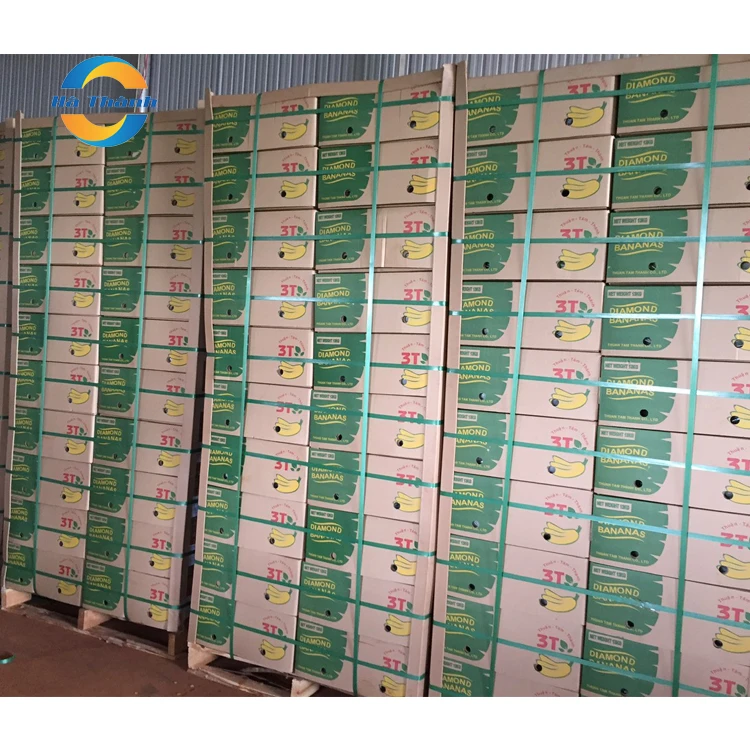 Top Selling Wholesale Manganese In Bananas Is Good For Your Skin Cavendish Bananas Price Fresh