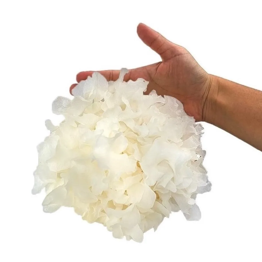 best frozen organic pesticide free fresh white snow fungus for skincare