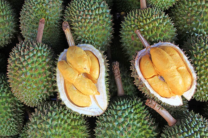 Оптовая цена-Премиум RI6/ MONTHONG DURIAN/мисс Триш + 84 984 696 874