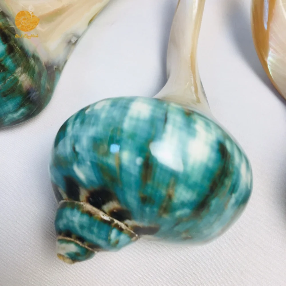 Eco-friendly Chopsticks Holder Polished Green Conch Shell Chopstick Rest Handmade Tableware Chopstick Holder