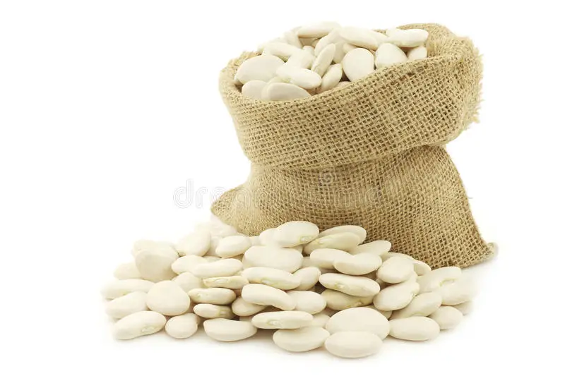
14% Delicious Max Moisture Dried Large Lima Beans White In 140/160Pcs Per 100g Recent Crop 