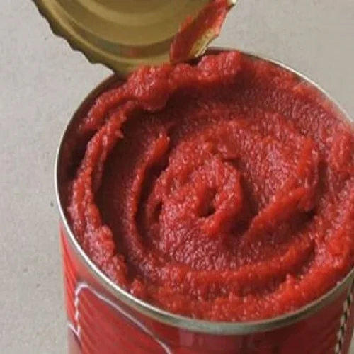 Red Color Indian tomato paste in drum packing for cooking food quality like italy ghana available in stock with fast delivery