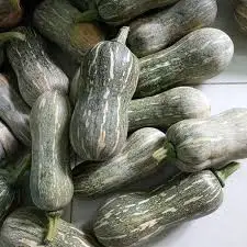 Недорогие экспортные тыквы/жасмин + 84 896679047