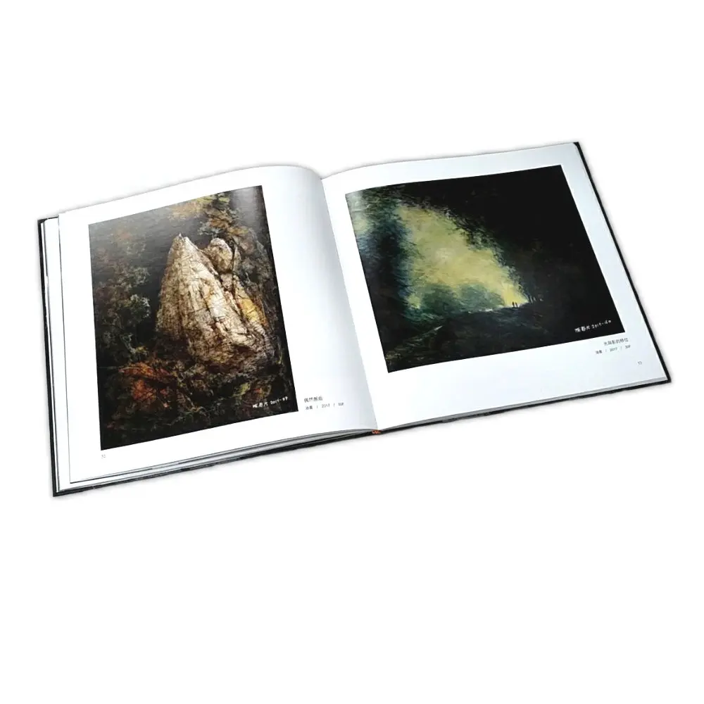 Профессиональное Портфолио из Тайваня Художественная печать книг