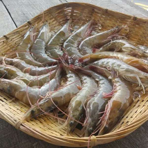 Vietnam Black Tiger Shrimp at reasonable price