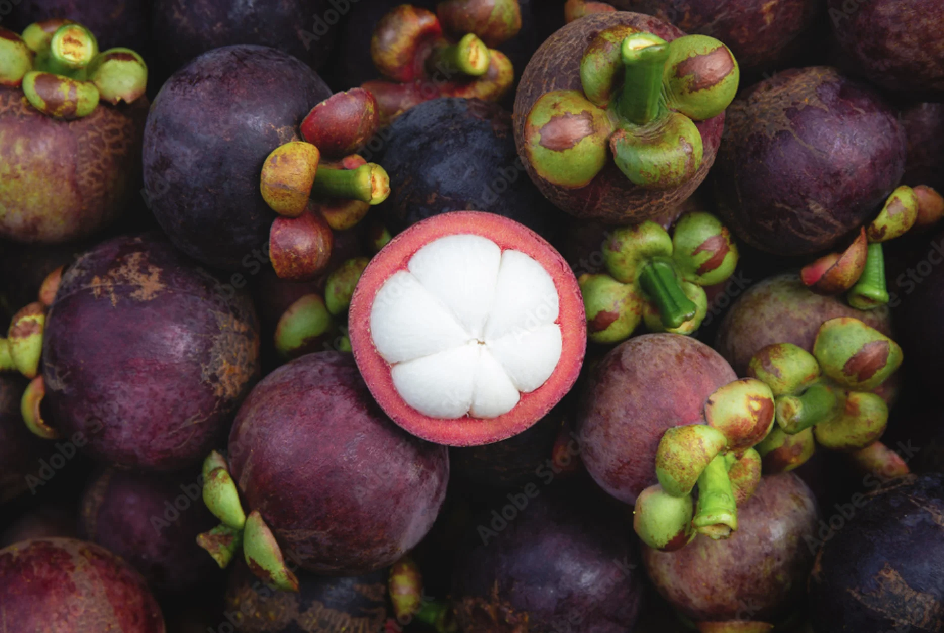 Свежий мангостин высокого качества из Таиланда