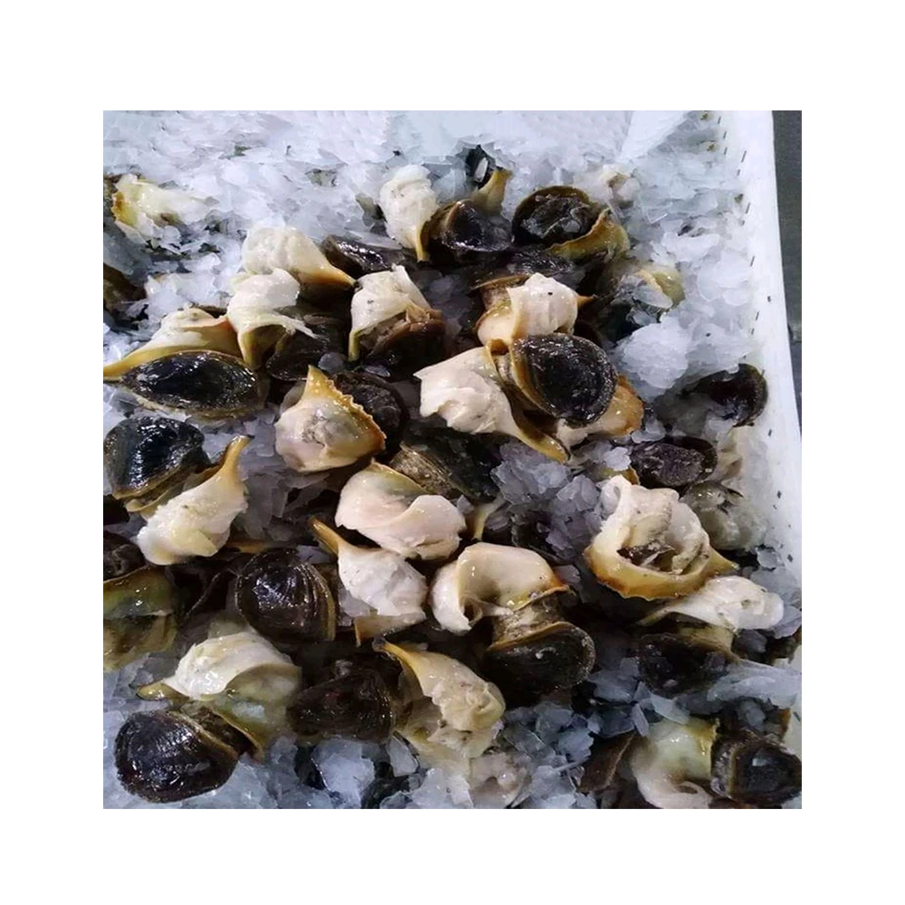 Сушеная морская смесь замороженная консервированные высококачественные морепродукты закуски