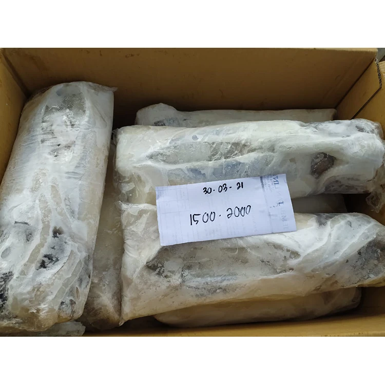 Clean HACCP Certified Seafood Supplier Cuttlefish