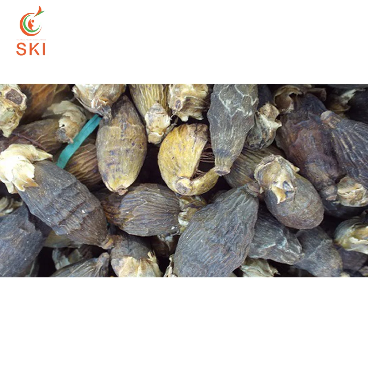 Лучший поставщик лидер продаж 2021 заводская цена орехи Betel/орехи Areca новый сезон сделано во