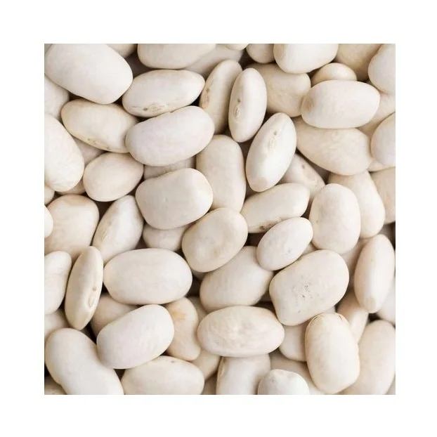 
Best Factory Price Of fresh Dried BUTTER BEANS Available In Bulk Stock With Custom Packing 