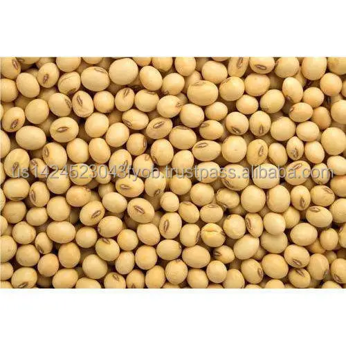 soybean-seeds-500x500.jpg